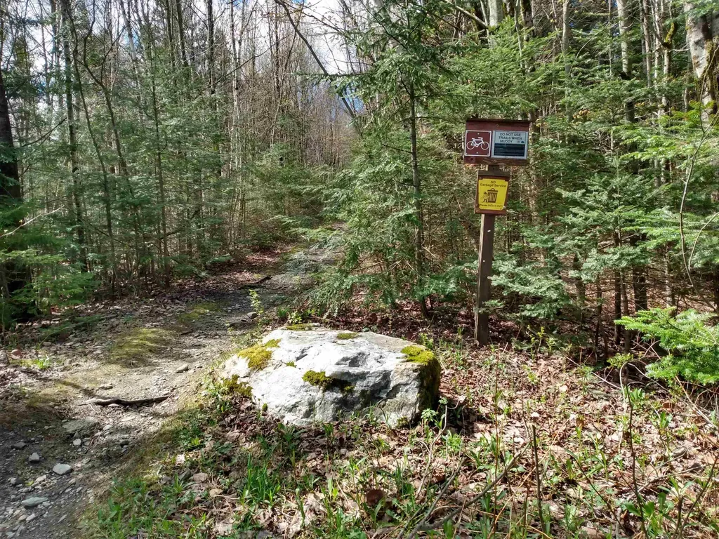 258 Hillside Road Warren VT 05674