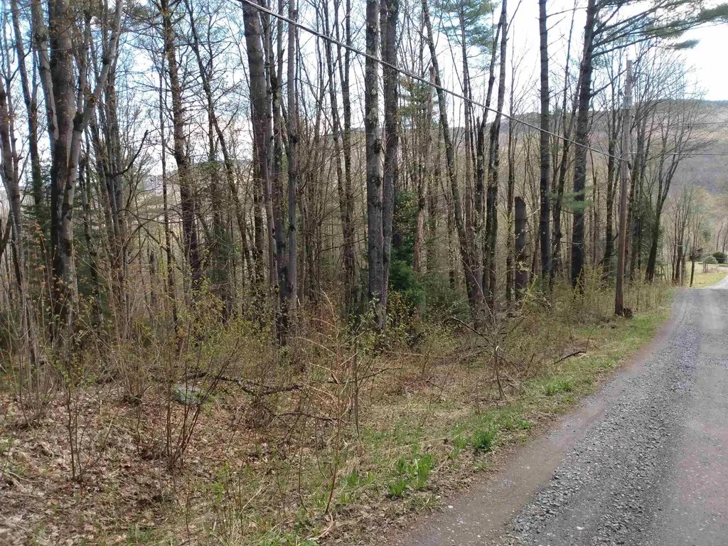 258 Hillside Road Warren VT 05674