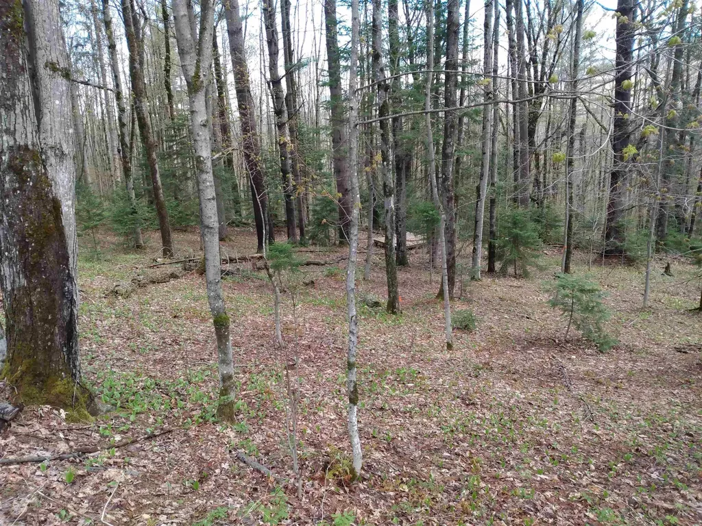 258 Hillside Road Warren VT 05674