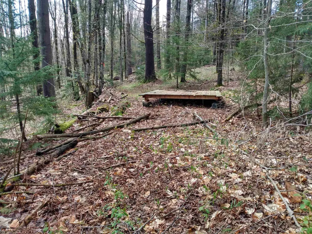 258 Hillside Road Warren VT 05674