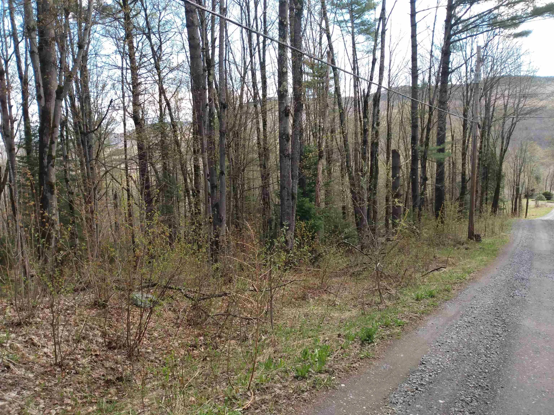 258 Hillside Road Warren VT 05674
