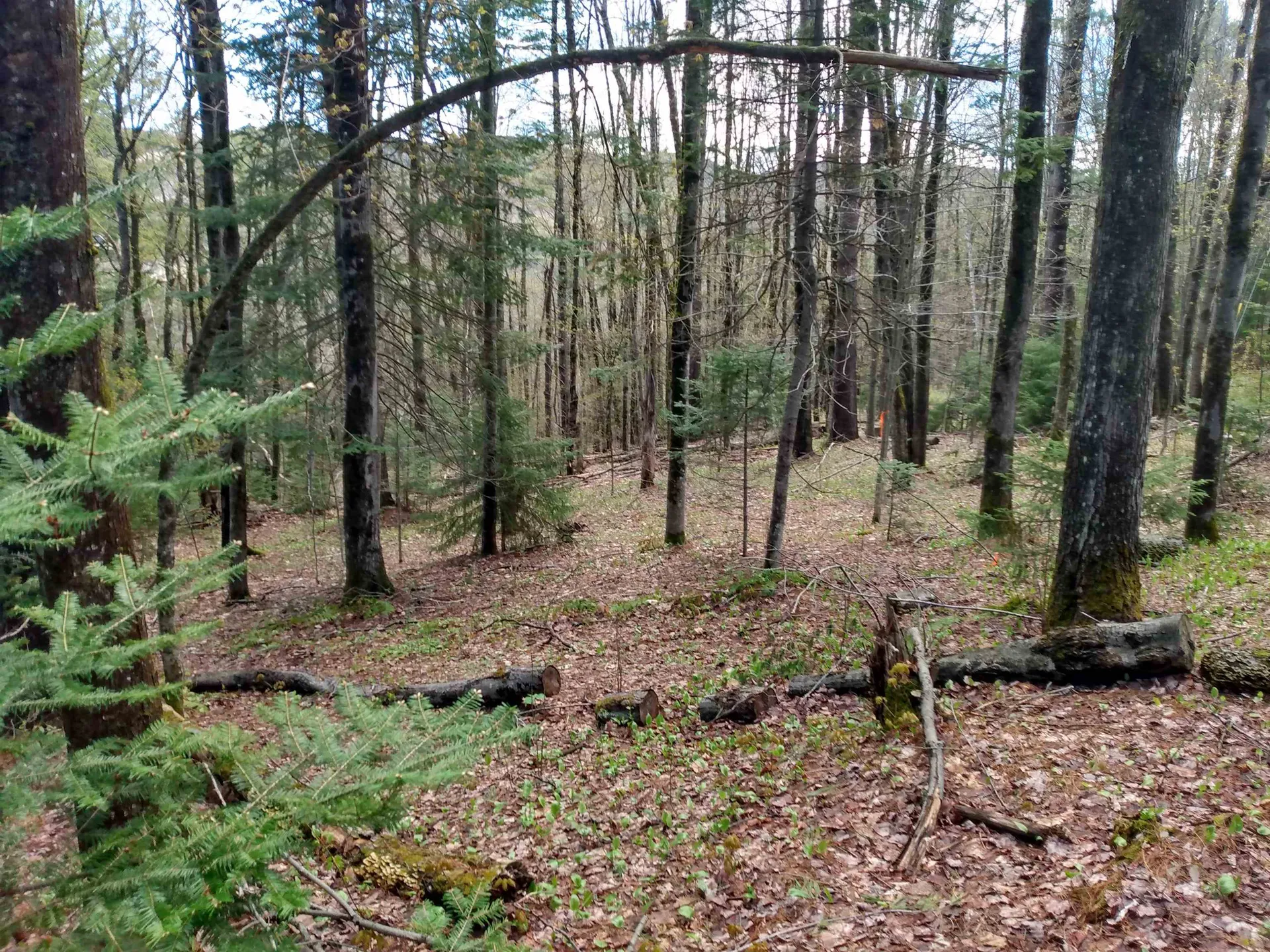 258 Hillside Road Warren VT 05674