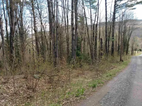 258 Hillside Road Warren VT 05674