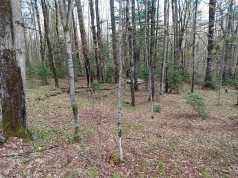 258 Hillside Road Warren VT 05674