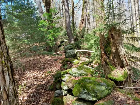 258 Hillside Road Warren VT 05674