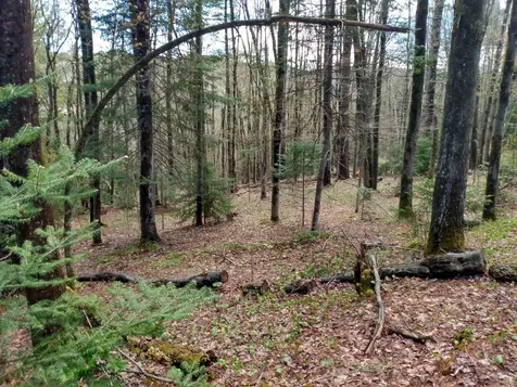 258 Hillside Road Warren VT 05674