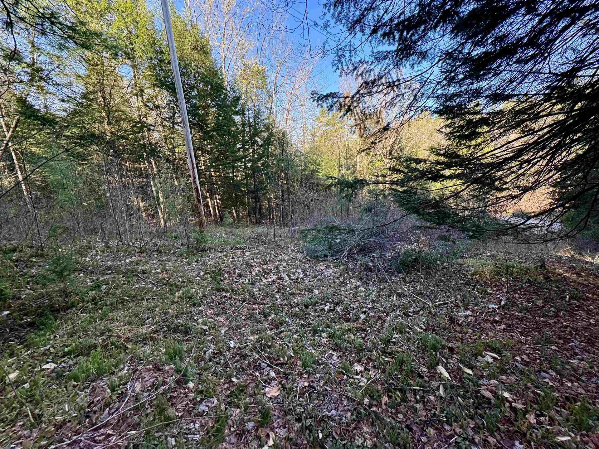 0 Branch Brook Road Groton VT 05046