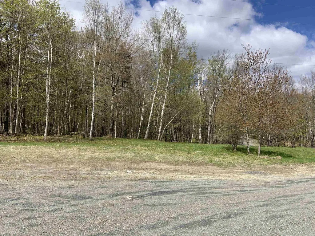 Turkwood Road Wardsboro VT 05355
