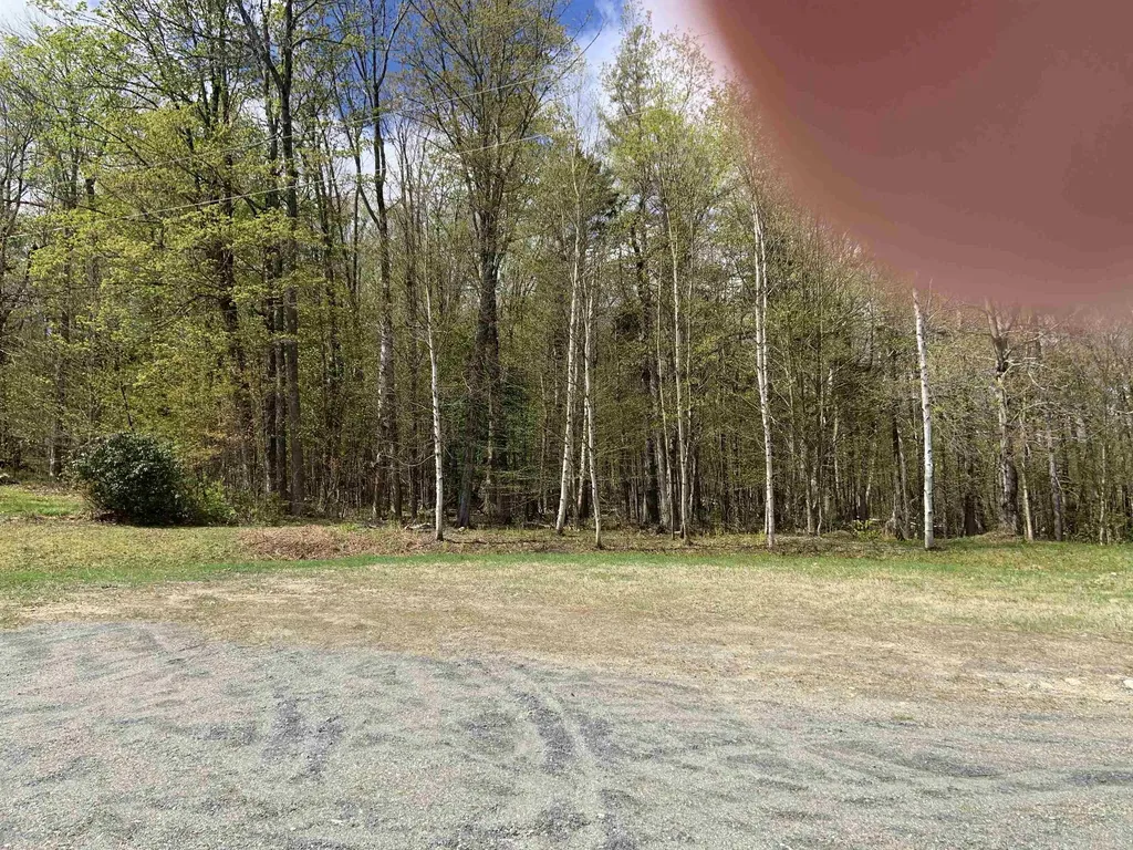 Turkwood Road Wardsboro VT 05355