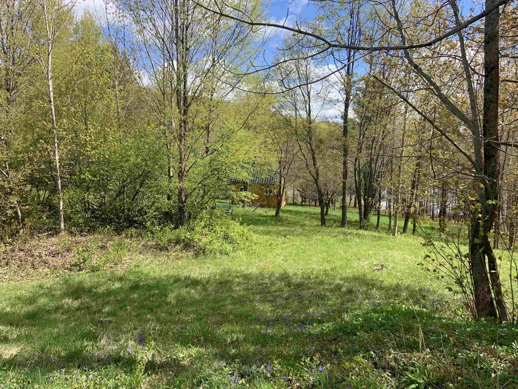Turkwood Road Wardsboro VT 05355
