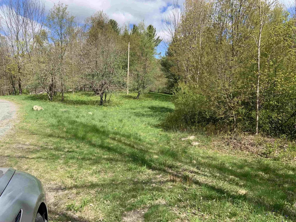 Turkwood Road Wardsboro VT 05355
