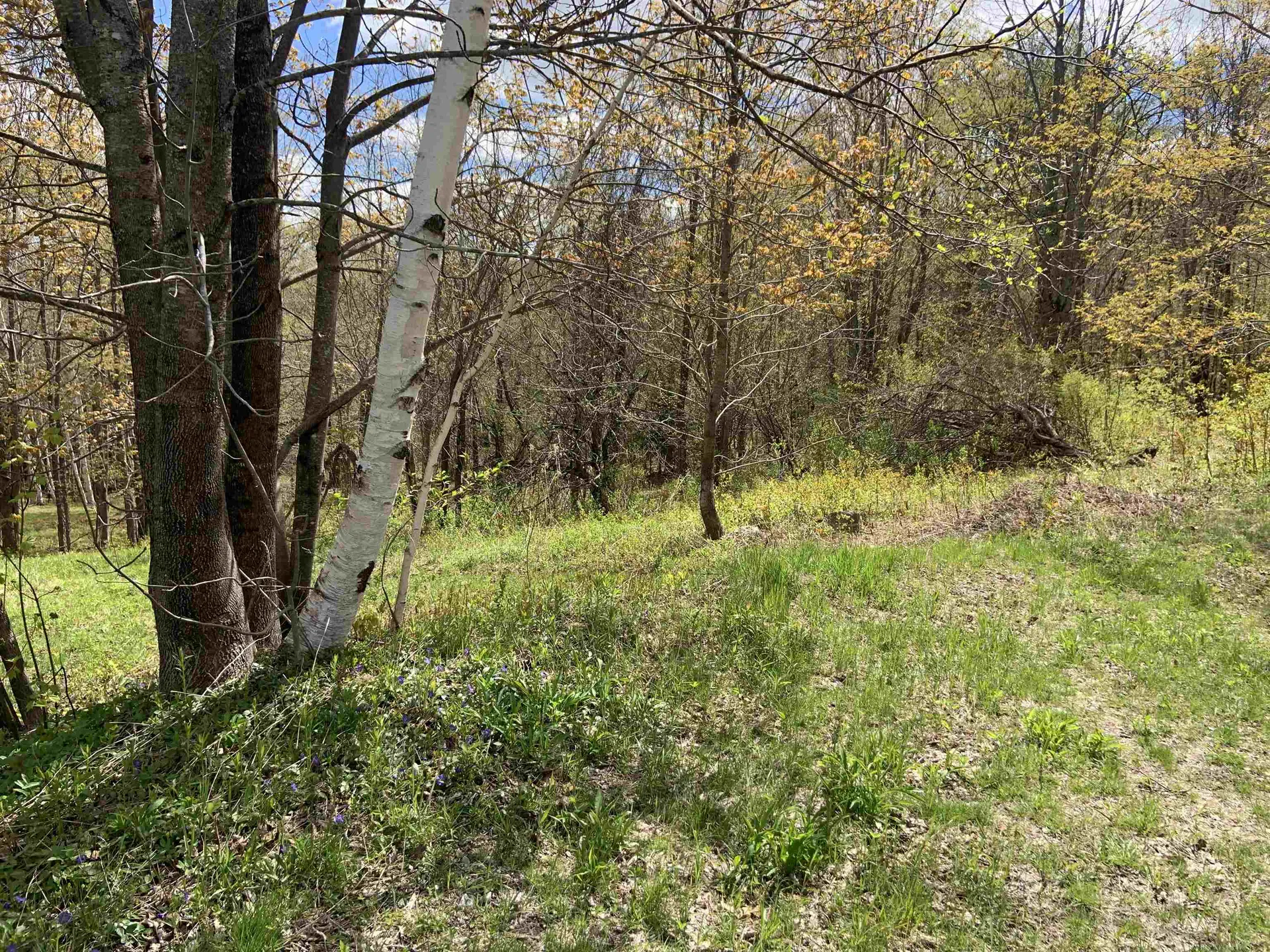 Turkwood Road Wardsboro VT 05355