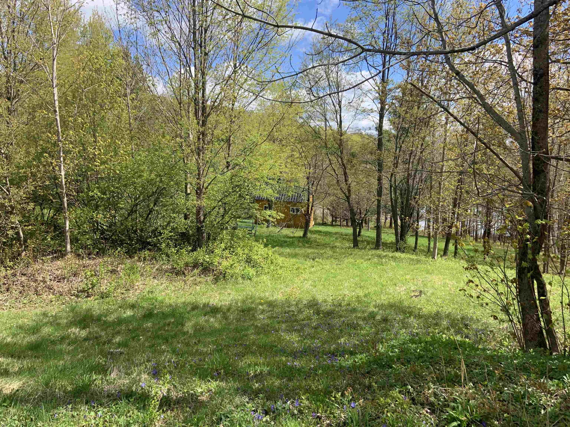 Turkwood Road Wardsboro VT 05355