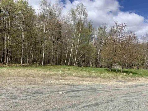 Turkwood Road Wardsboro VT 05355