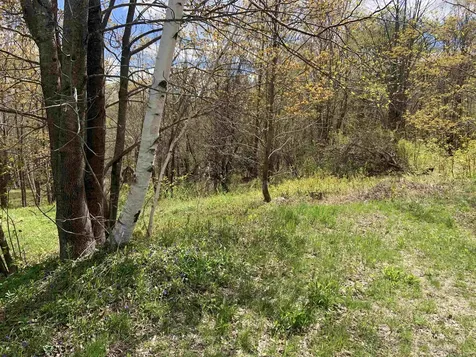 Turkwood Road Wardsboro VT 05355