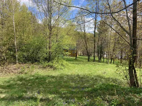 Turkwood Road Wardsboro VT 05355