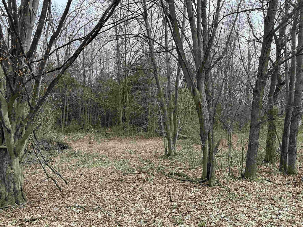 54 Adams School Road Grand Isle VT 05458