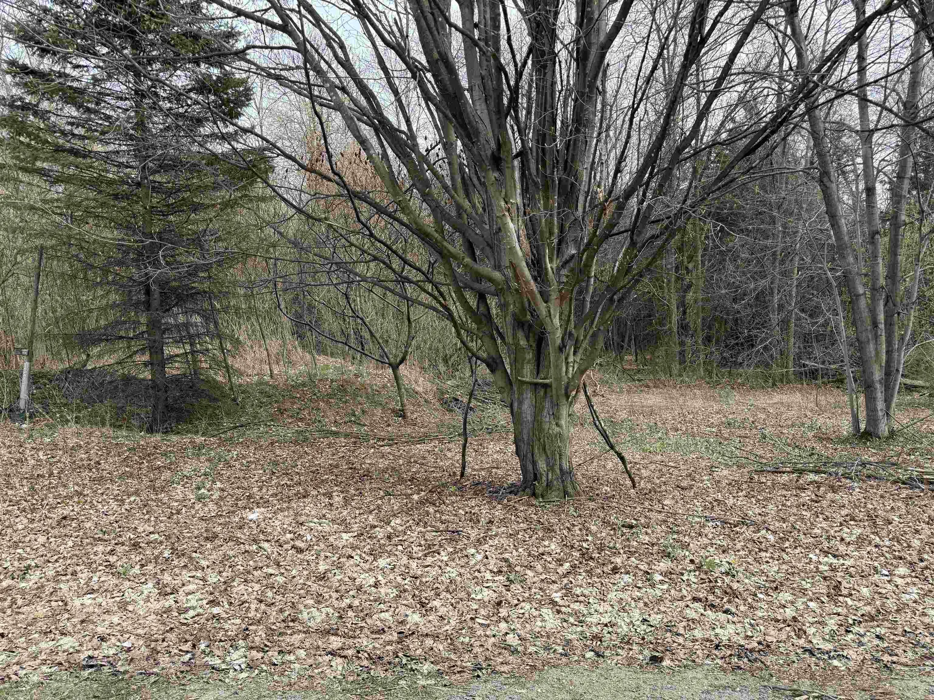 54 Adams School Road Grand Isle VT 05458
