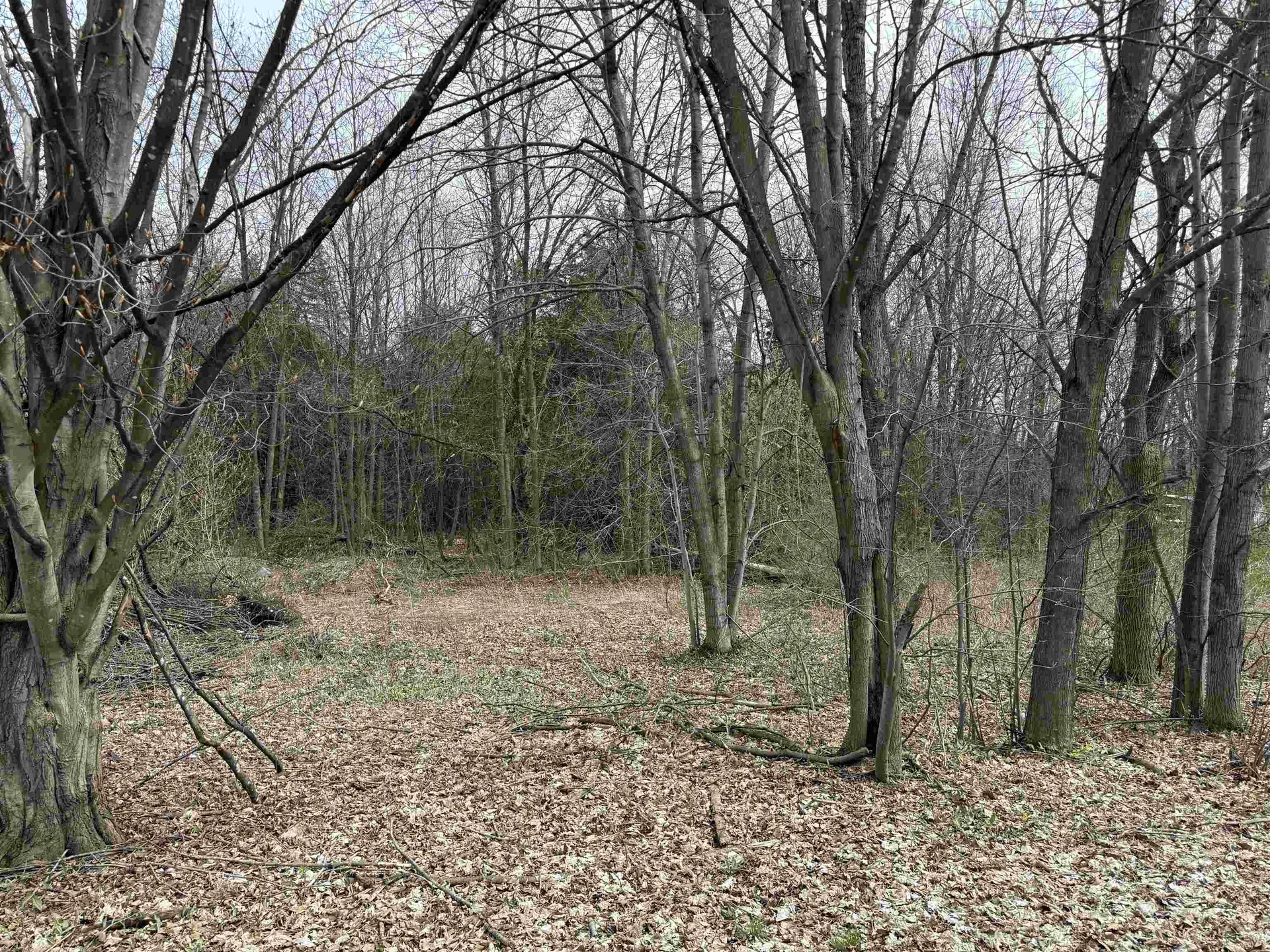 54 Adams School Road Grand Isle VT 05458