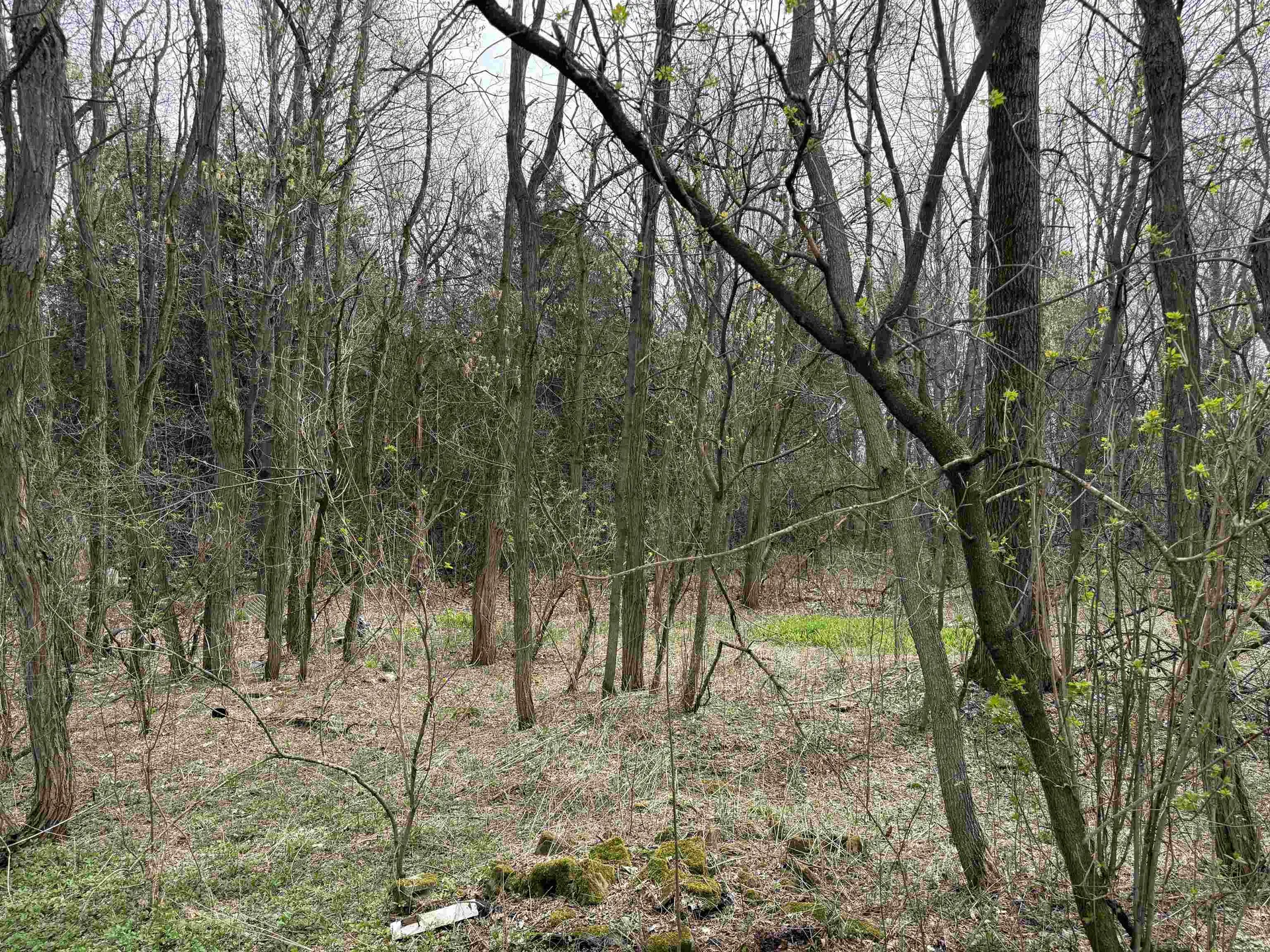 54 Adams School Road Grand Isle VT 05458