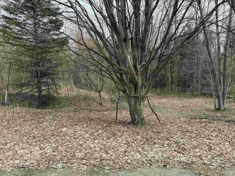 54 Adams School Road Grand Isle VT 05458
