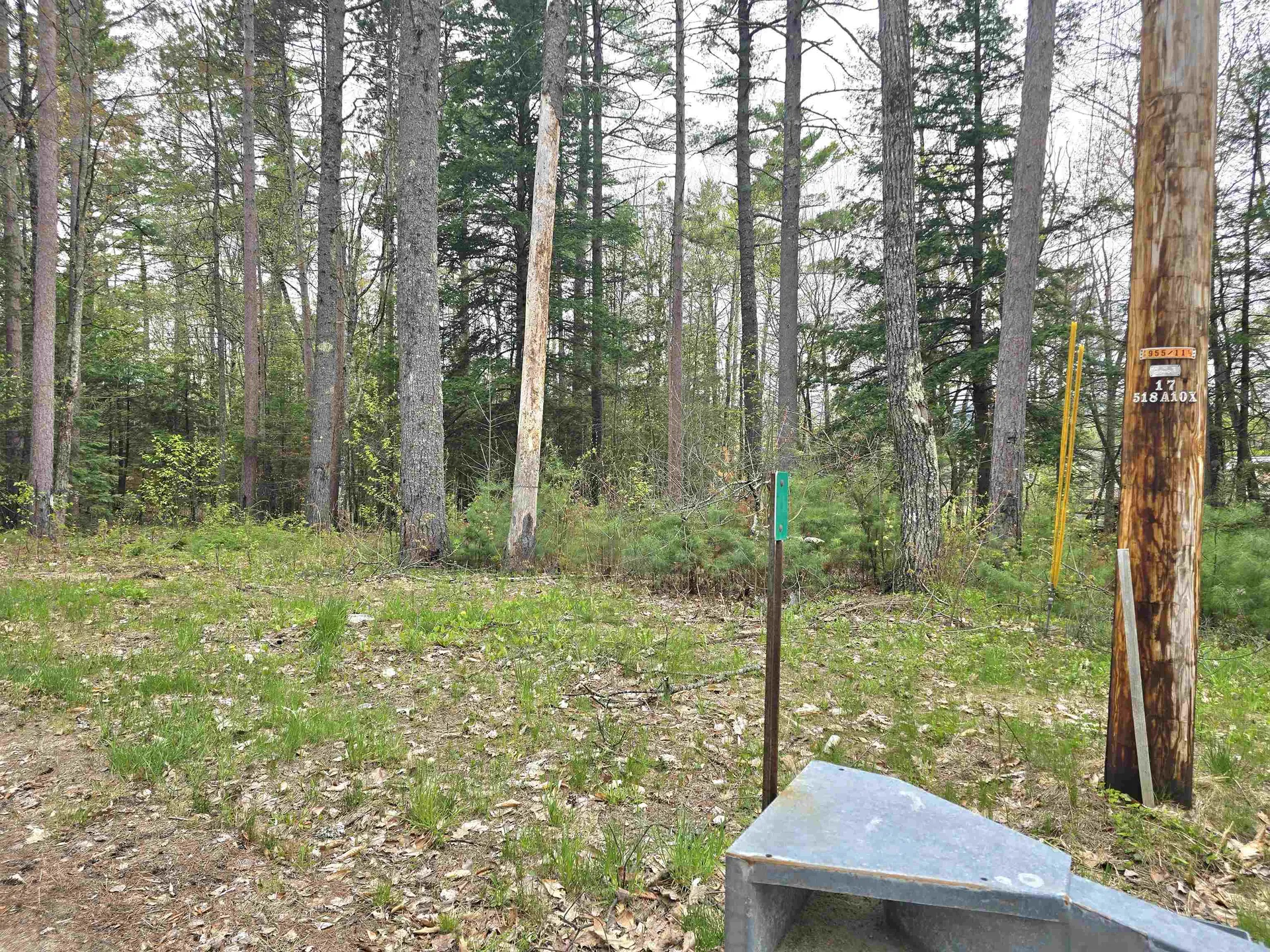 Conway NH, Lot 260 Thompson Road