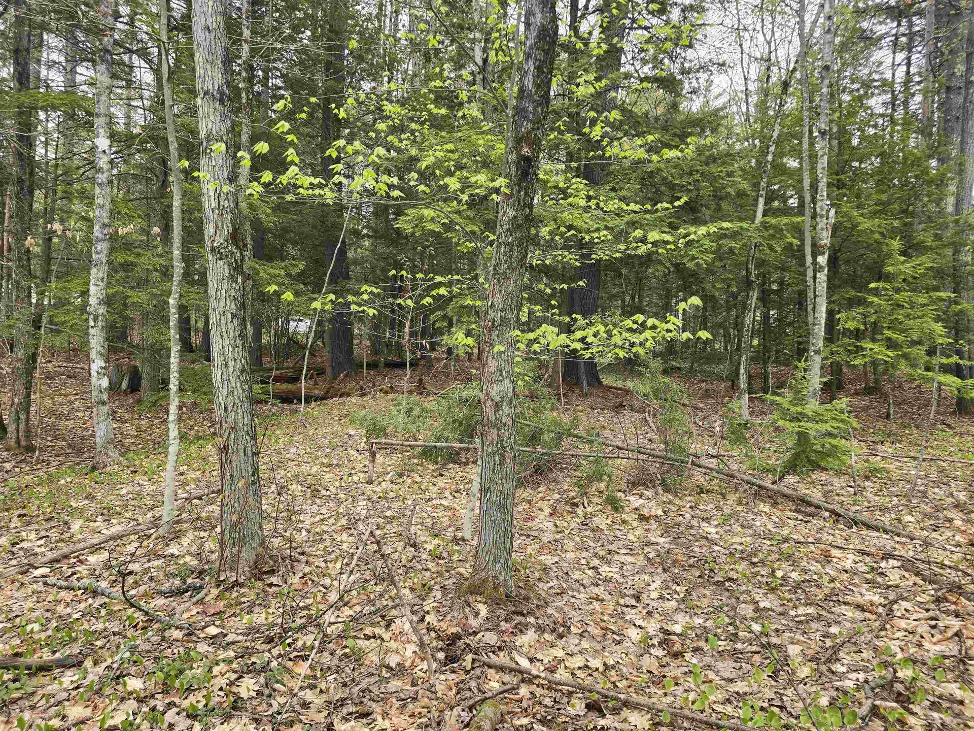 Lot 260 Thompson Road Conway NH 03860
