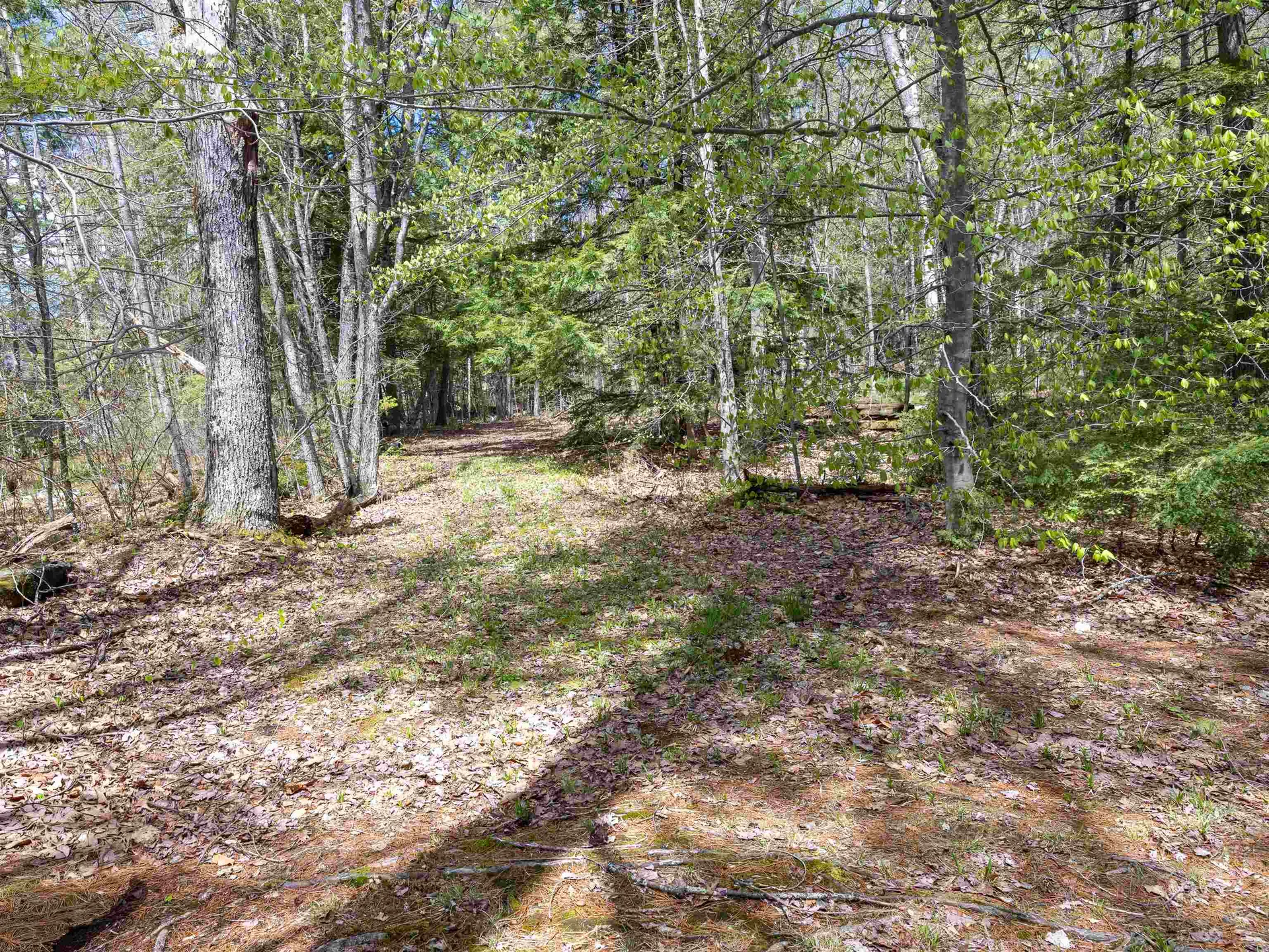5 Twin Oaks Road Sutton NH 03221