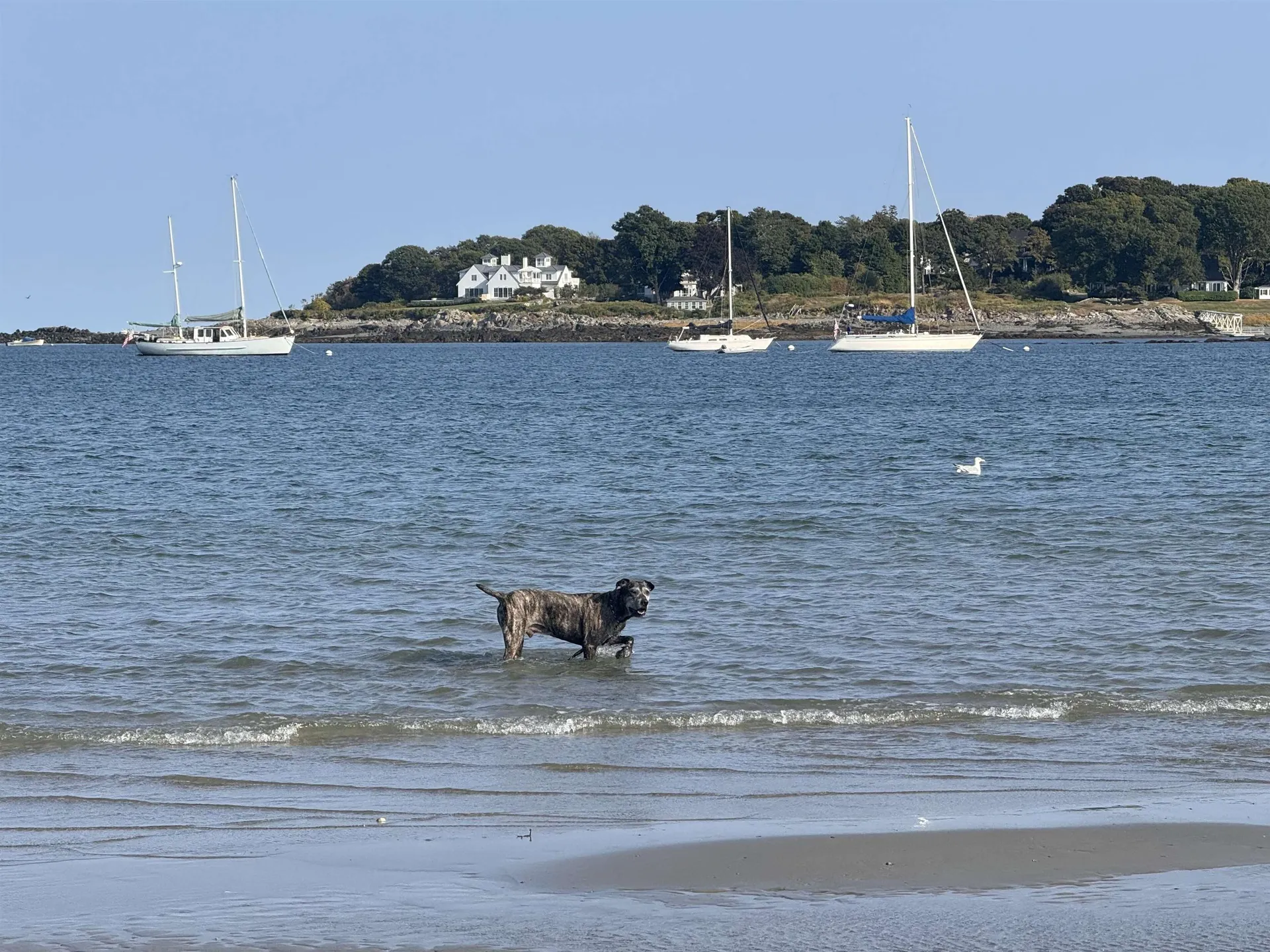157 Hills Beach Road Biddeford ME 04005