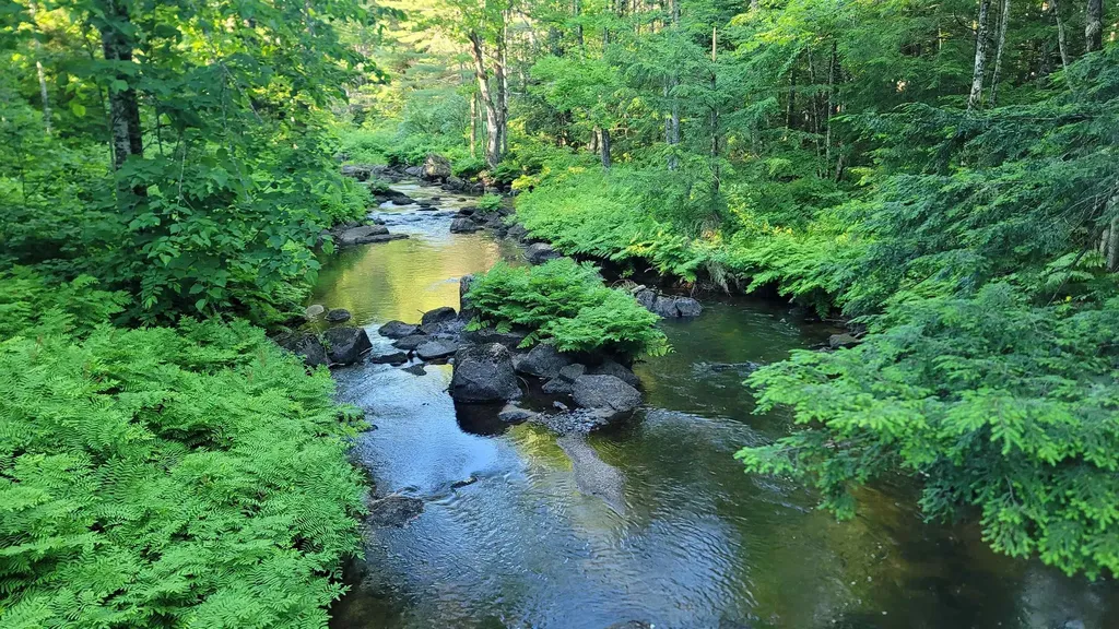 333 Roby Road Sutton NH 03273