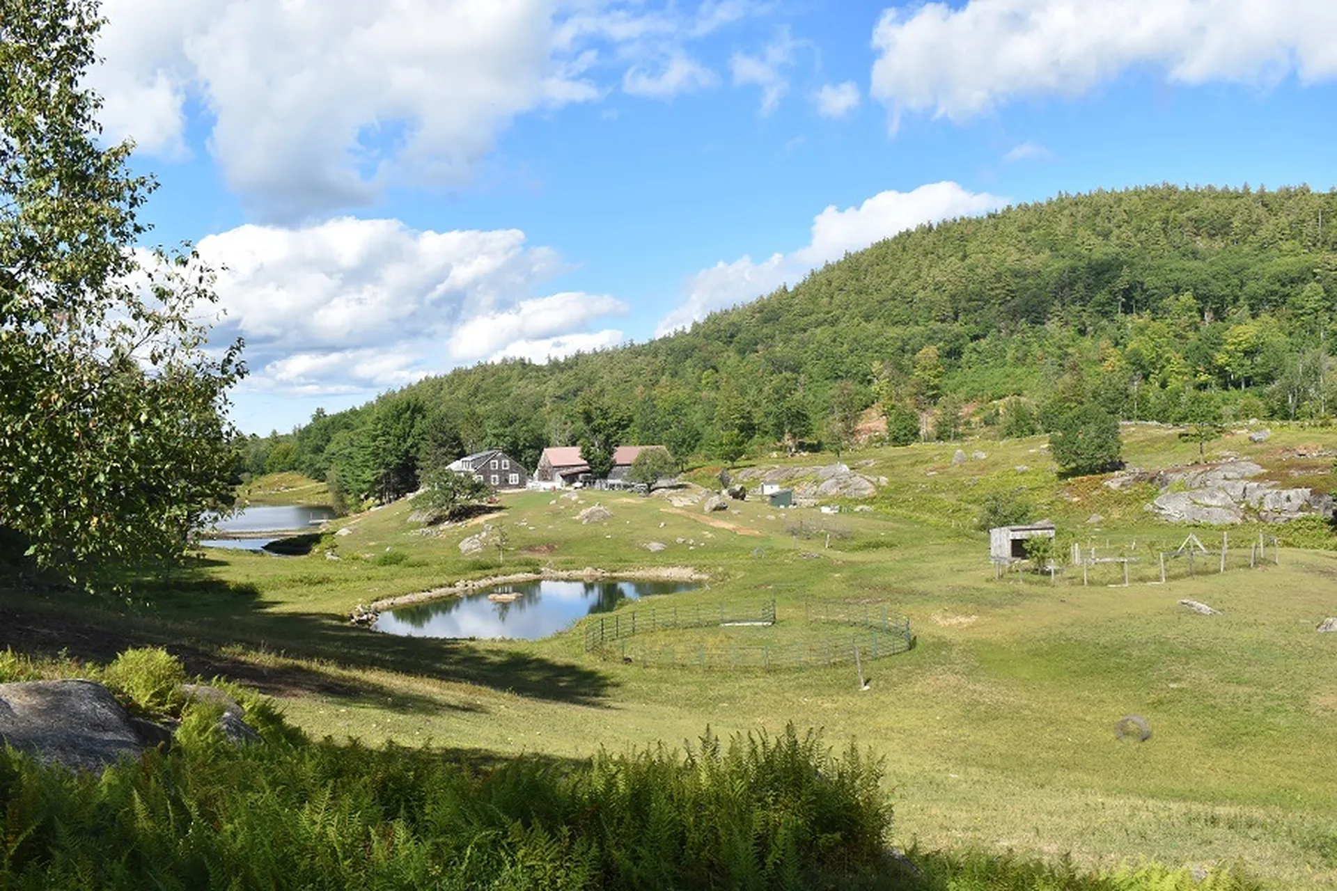 345 Deer Valley Road Bradford NH 03221-0000