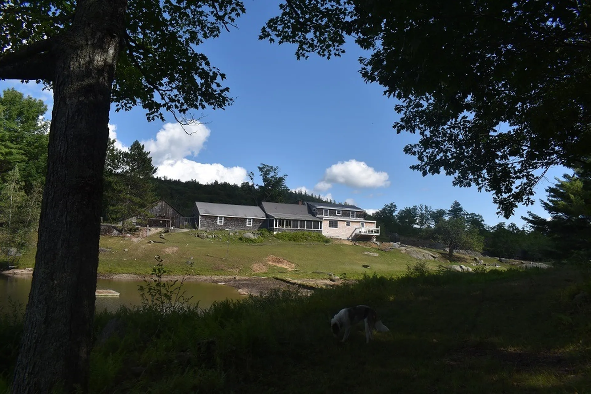 345 Deer Valley Road Bradford NH 03221-0000