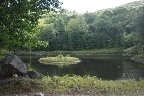 345 Deer Valley Road Bradford NH 03221-0000