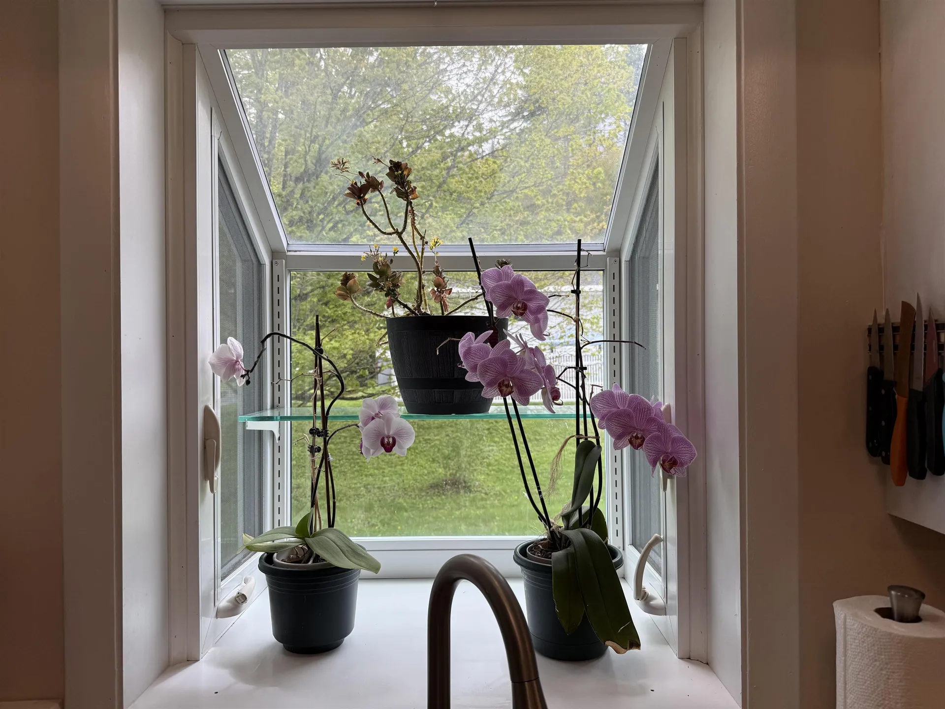 13 Brierbrook Lane Springfield VT 05156