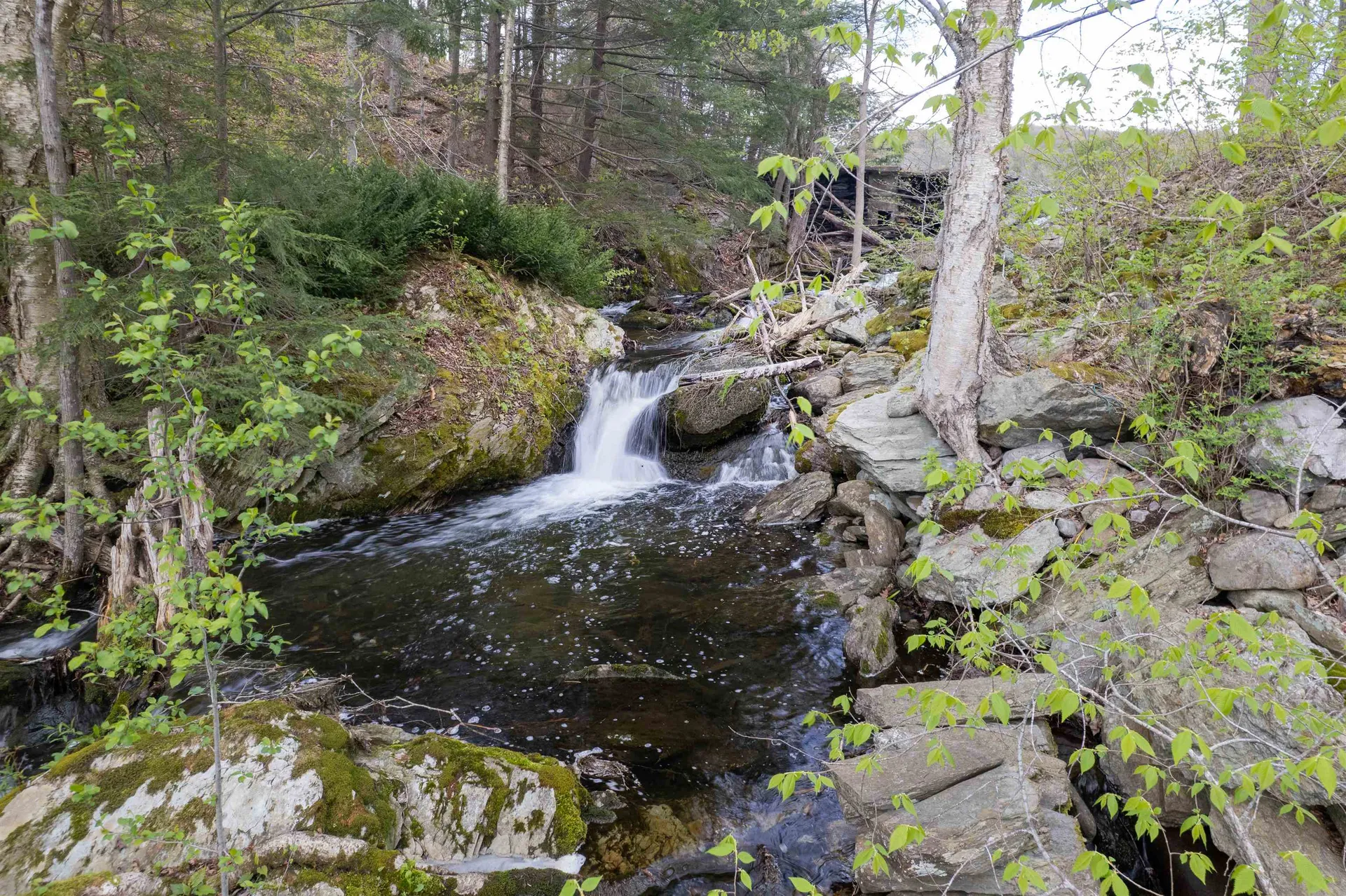 269 Hortonia Road Hubbardton VT 05732