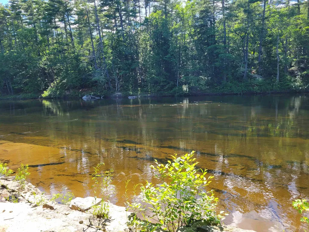 56 Bryant Drive Conway NH 03818