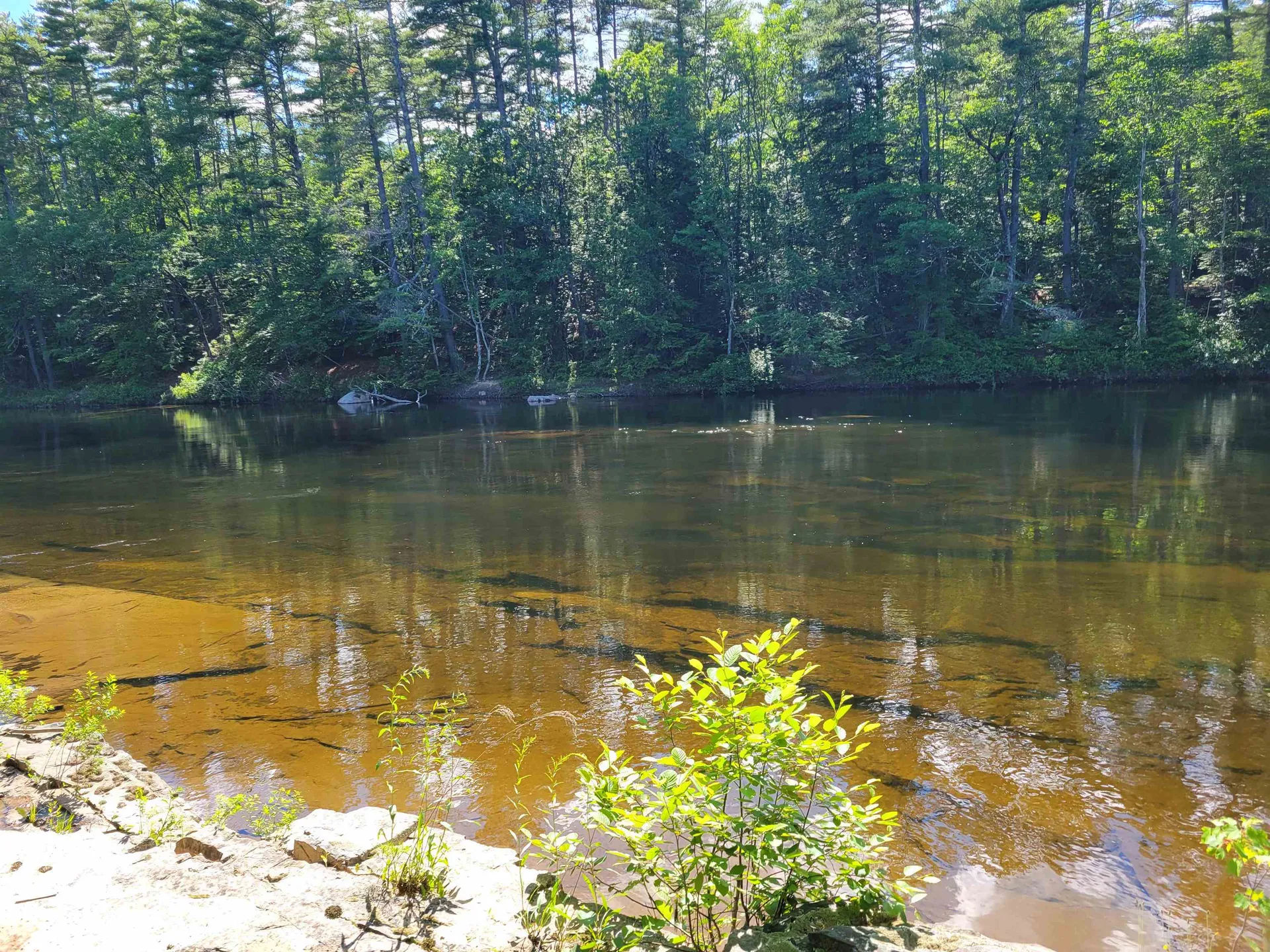 56 Bryant Drive Conway NH 03818