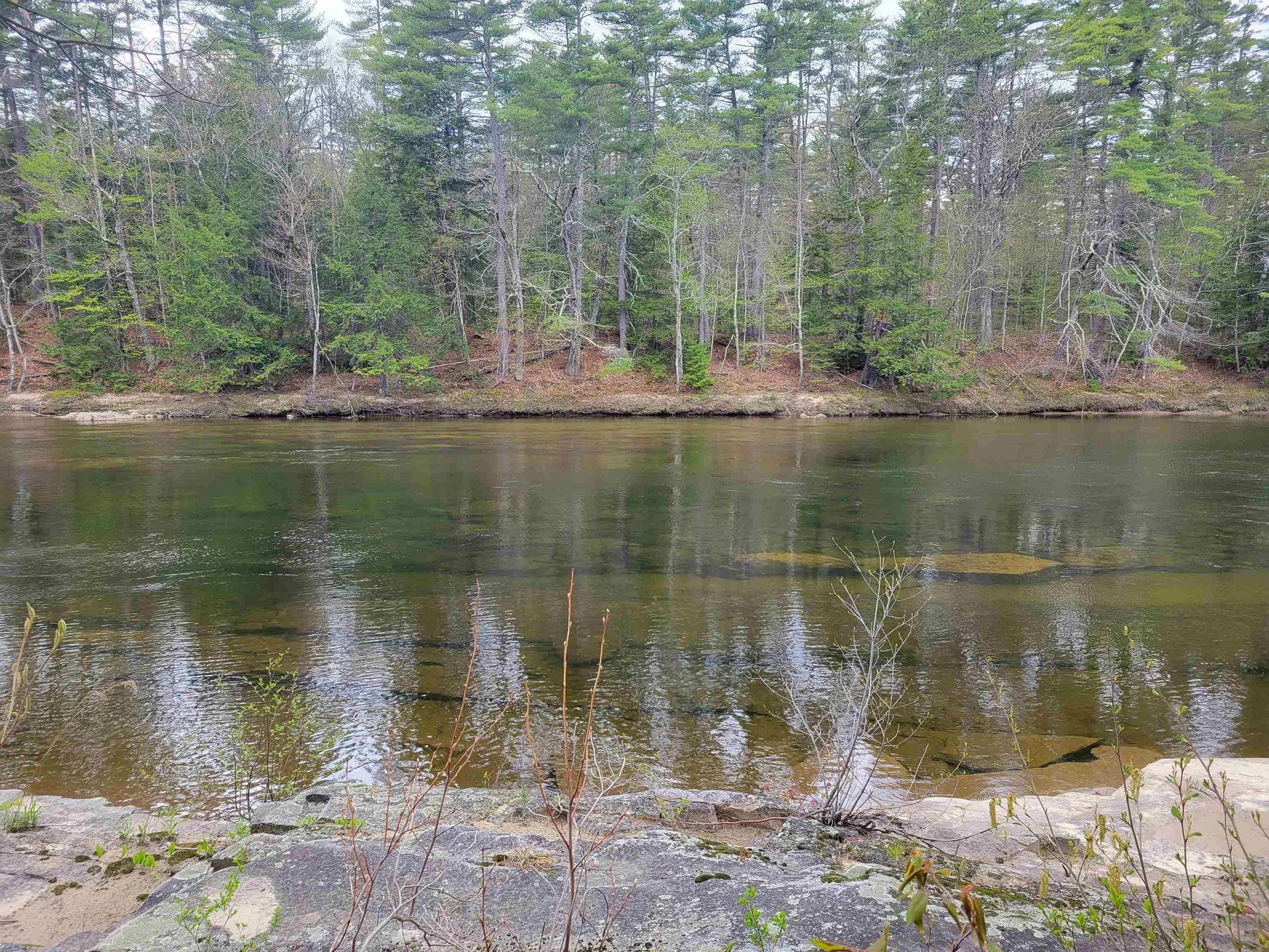 56 Bryant Drive Conway NH 03818