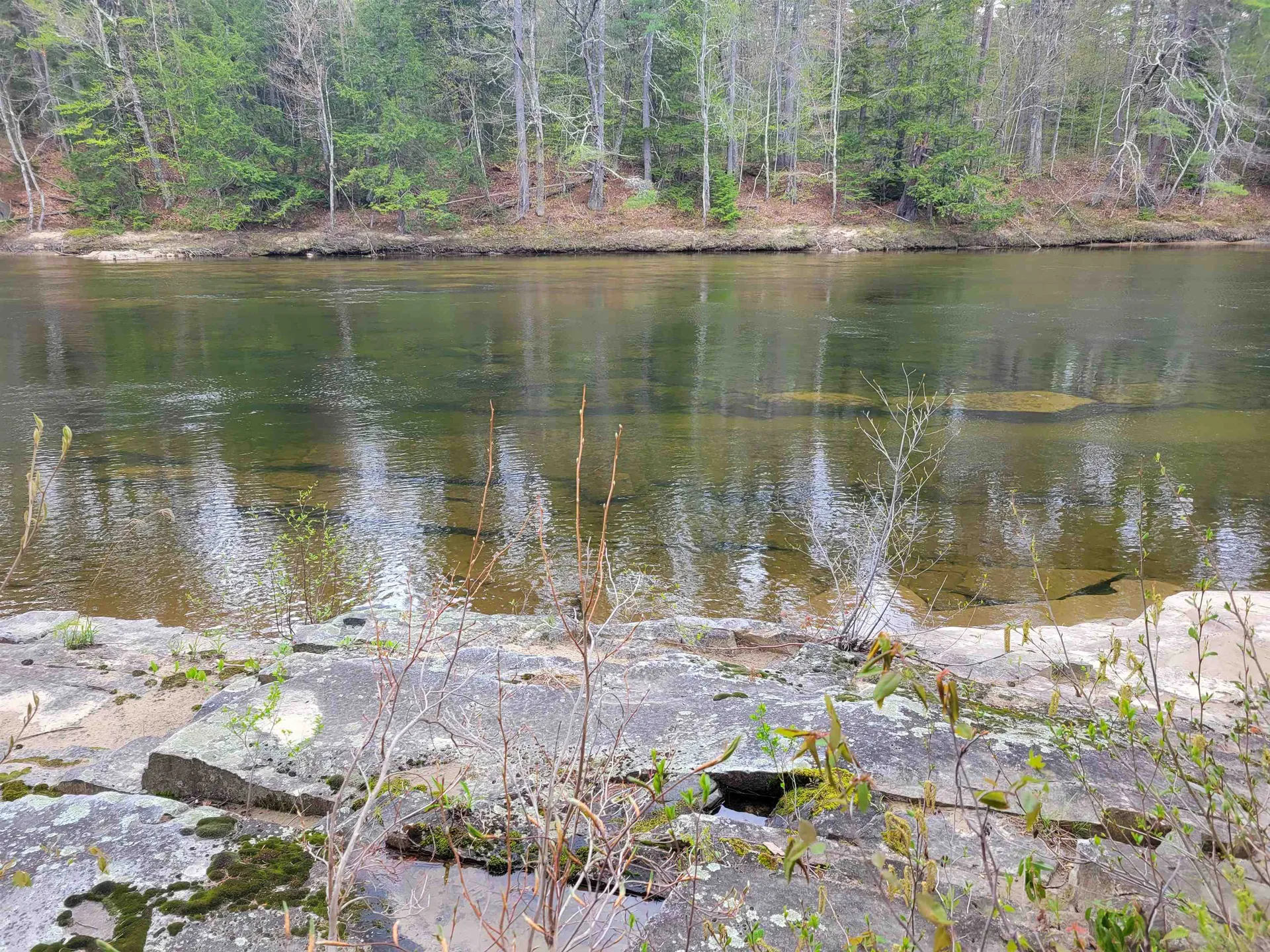 56 Bryant Drive Conway NH 03818