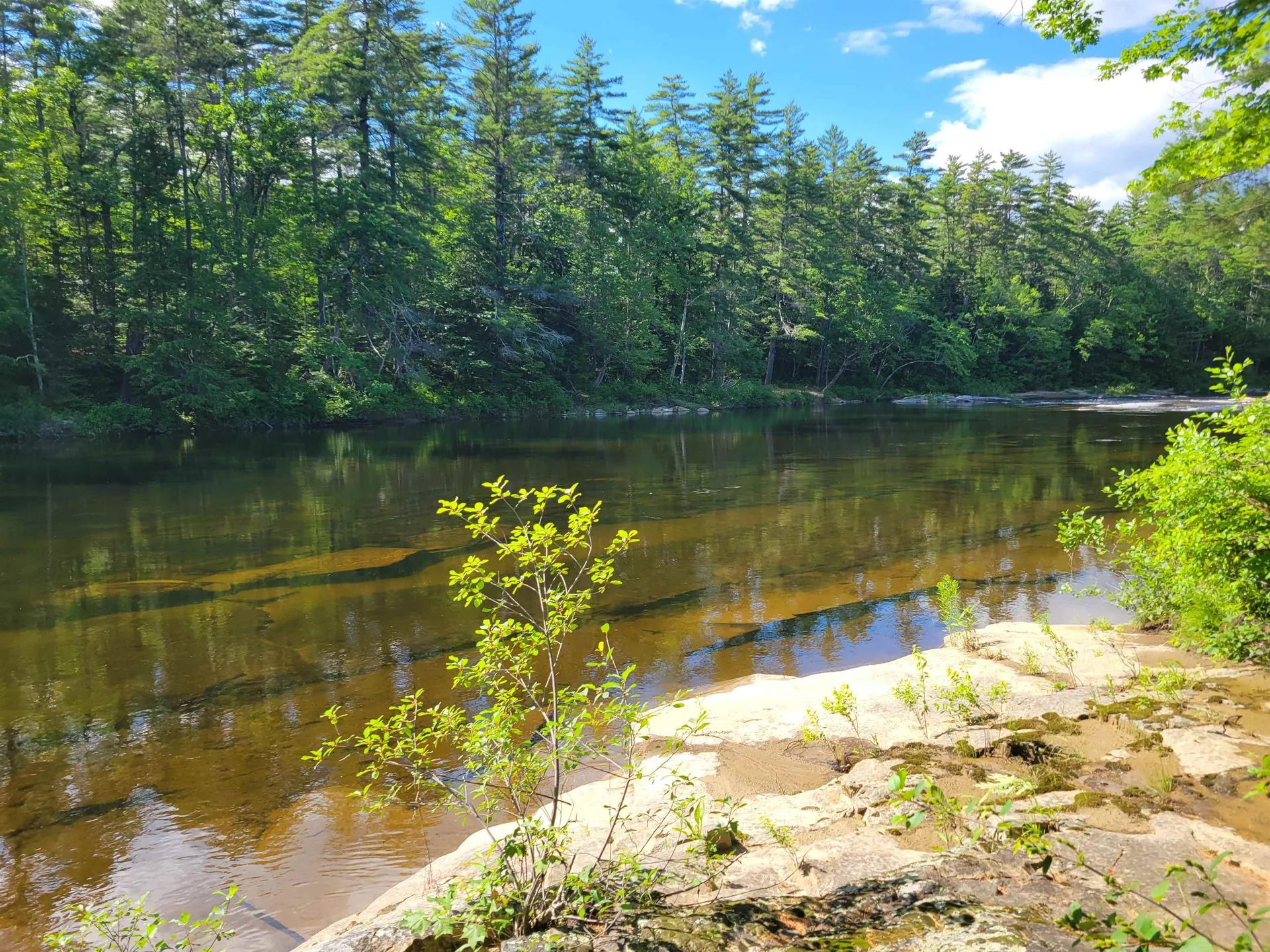 56 Bryant Drive Conway NH 03818