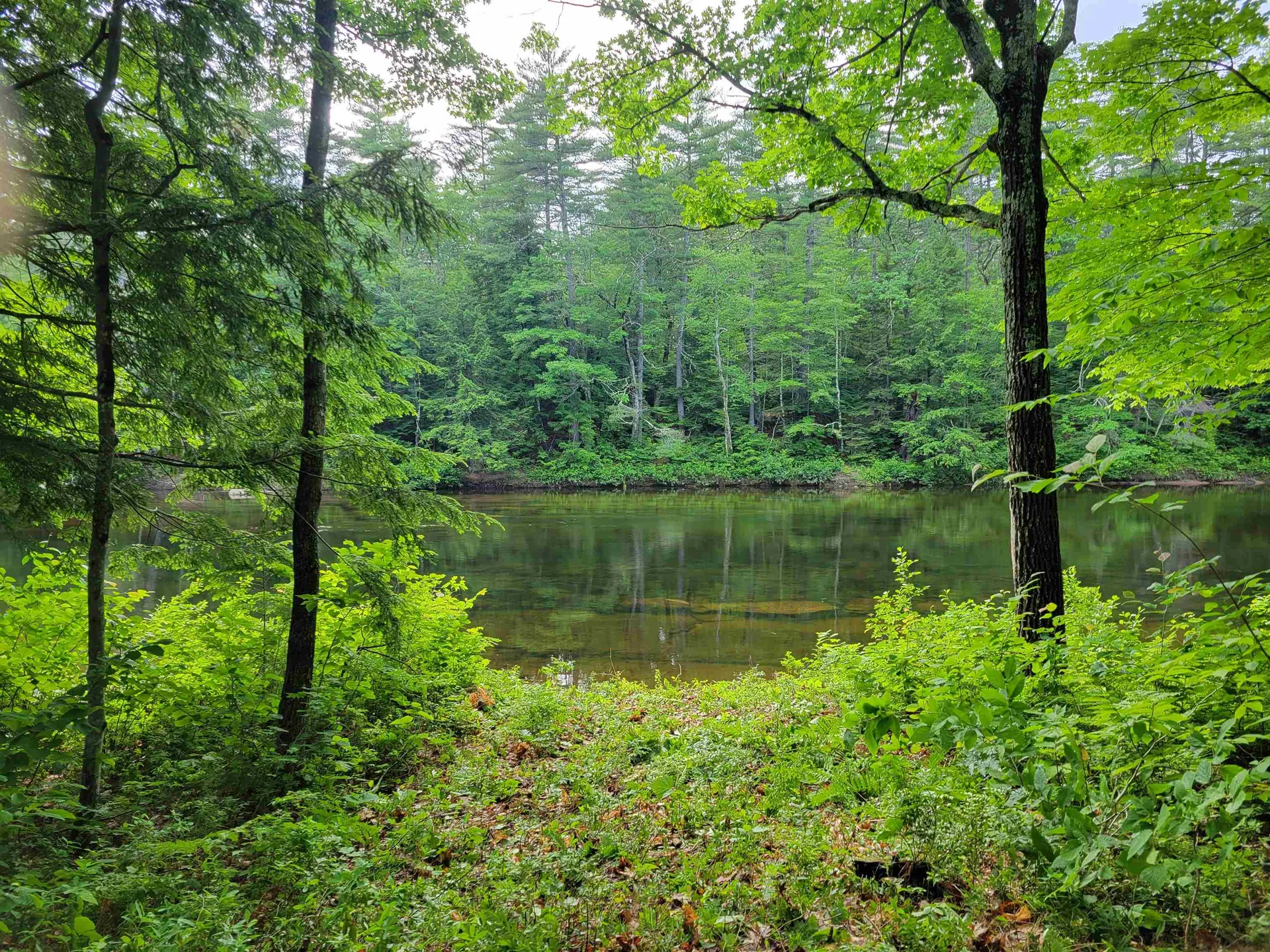 56 Bryant Drive Conway NH 03818