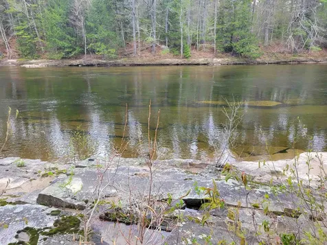 56 Bryant Drive Conway NH 03818