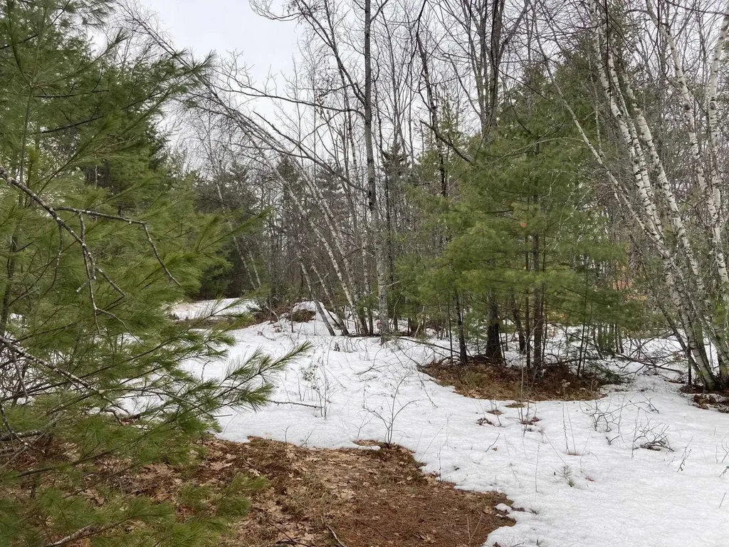 57 Eastern Avenue Conway NH 03813