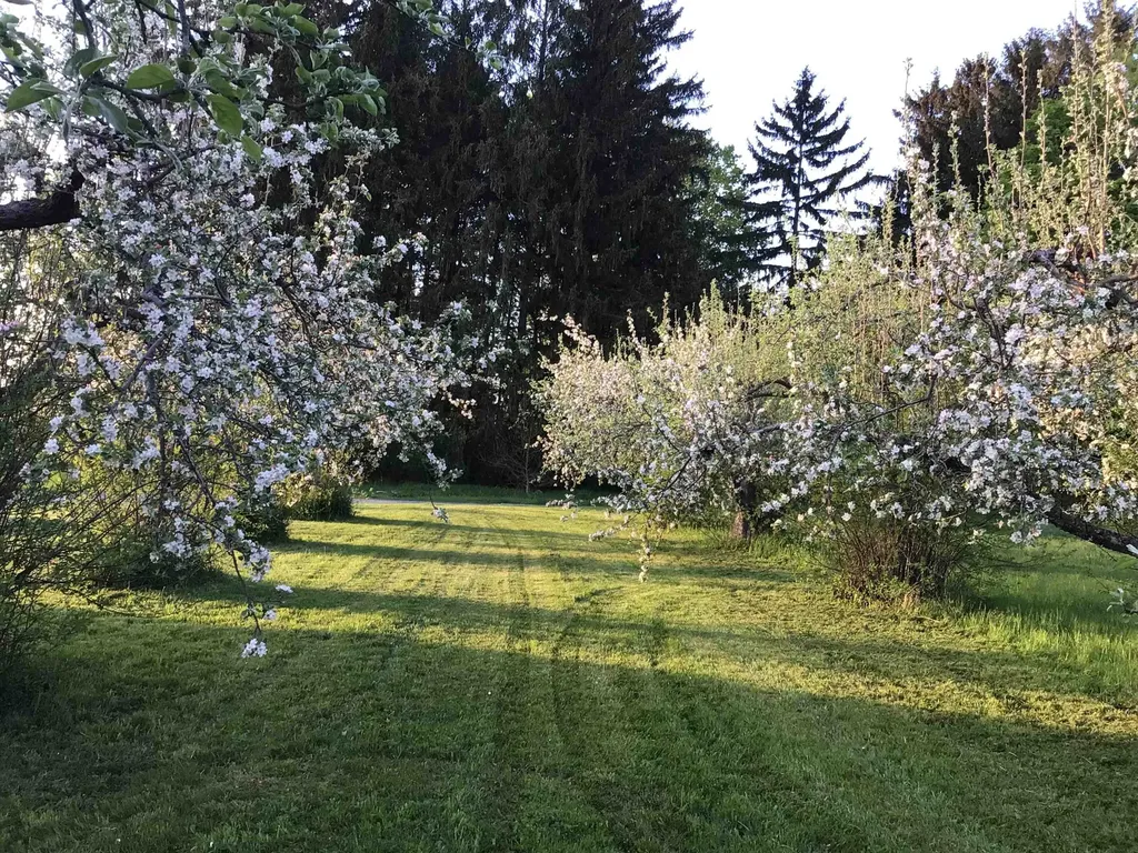 194 S Bingham Street Cornwall VT 05753