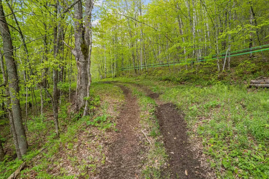 Noah Wood Road Woodstock VT 05071