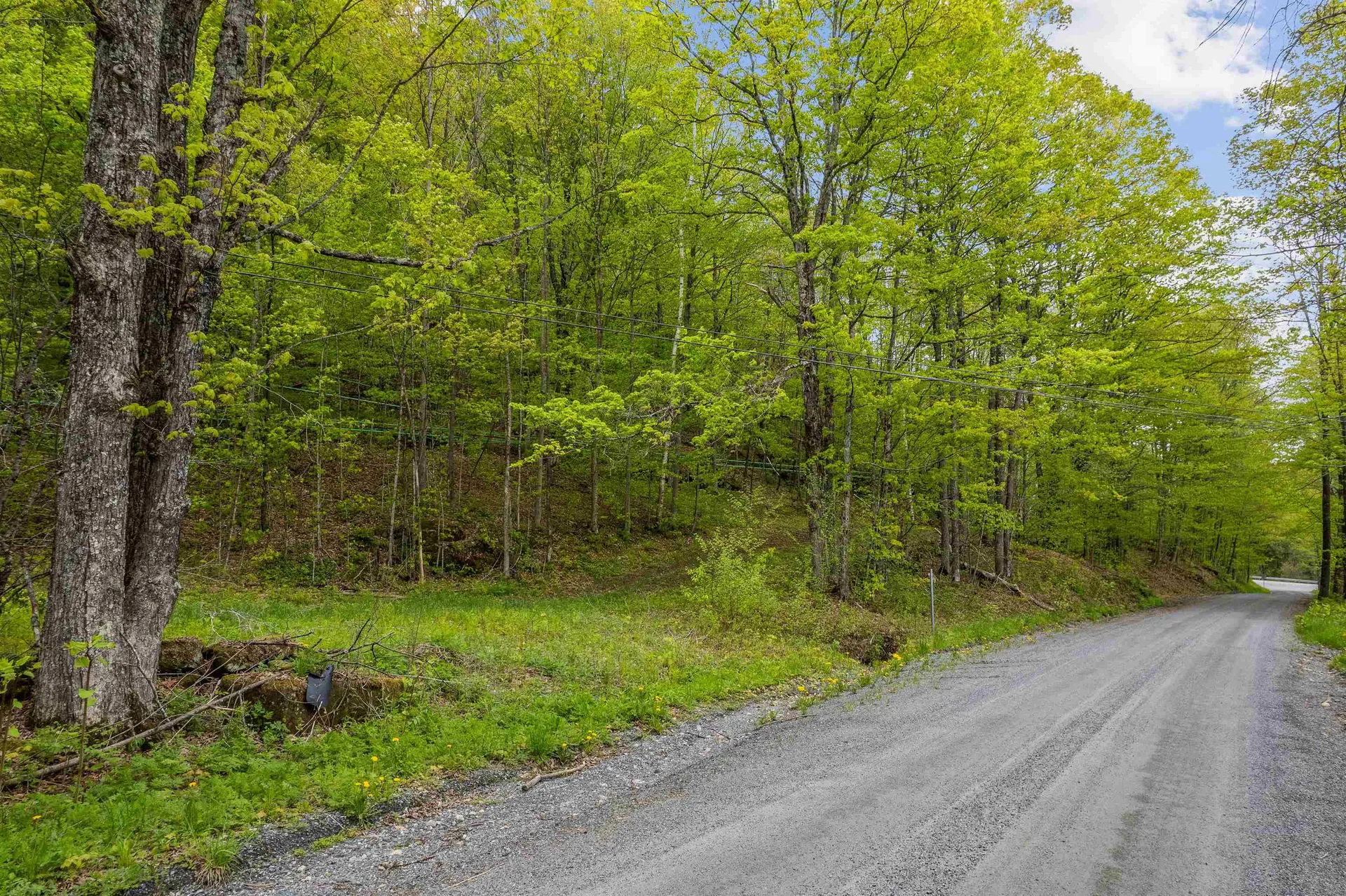 Noah Wood Road Woodstock VT 05071