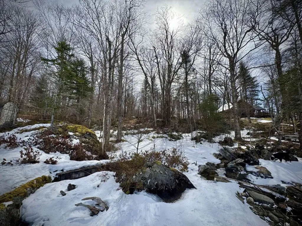 1744 Peacham Pond Road Peacham VT 05862