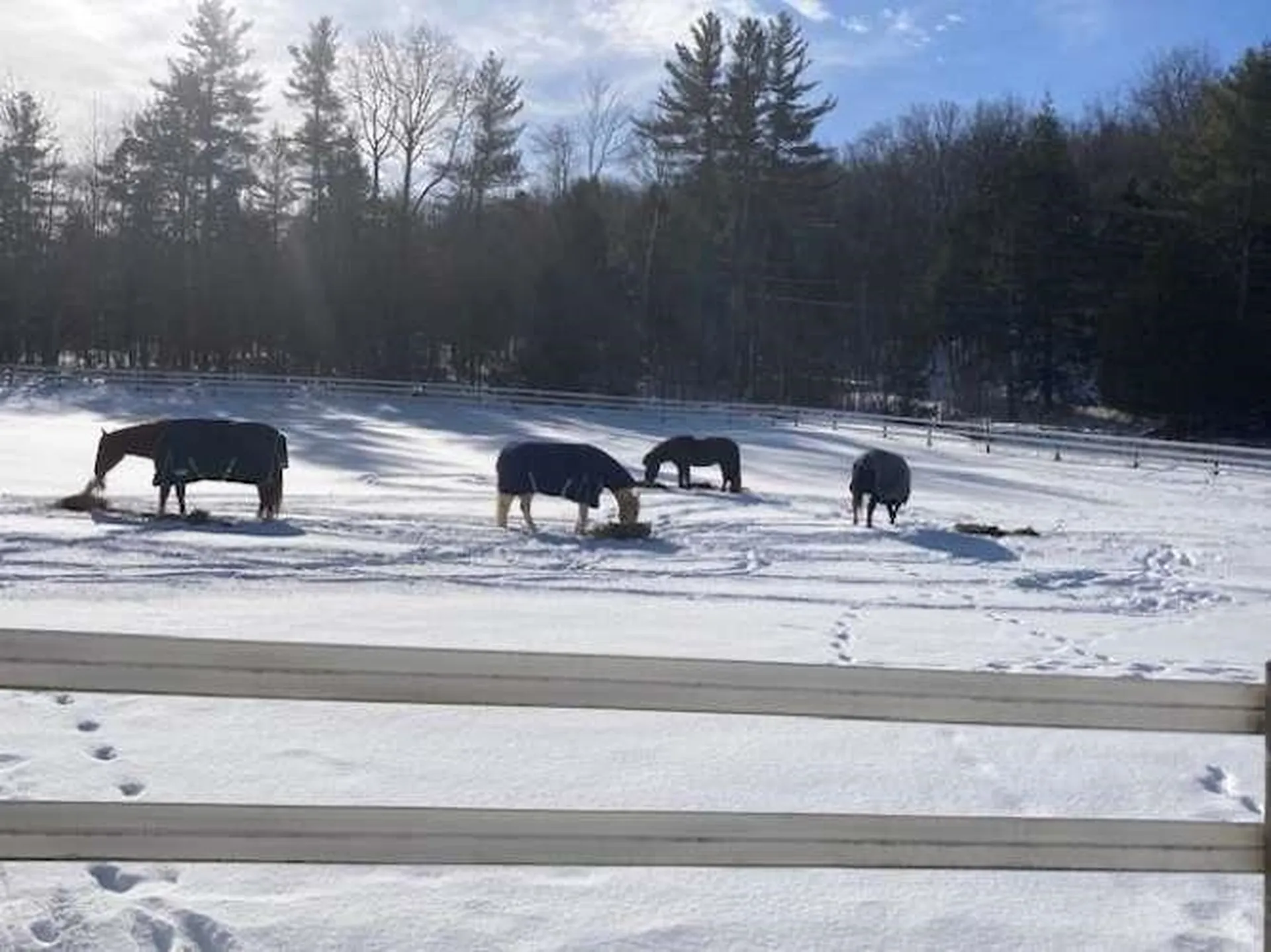 65 Widow Moses Road Berlin VT 05602