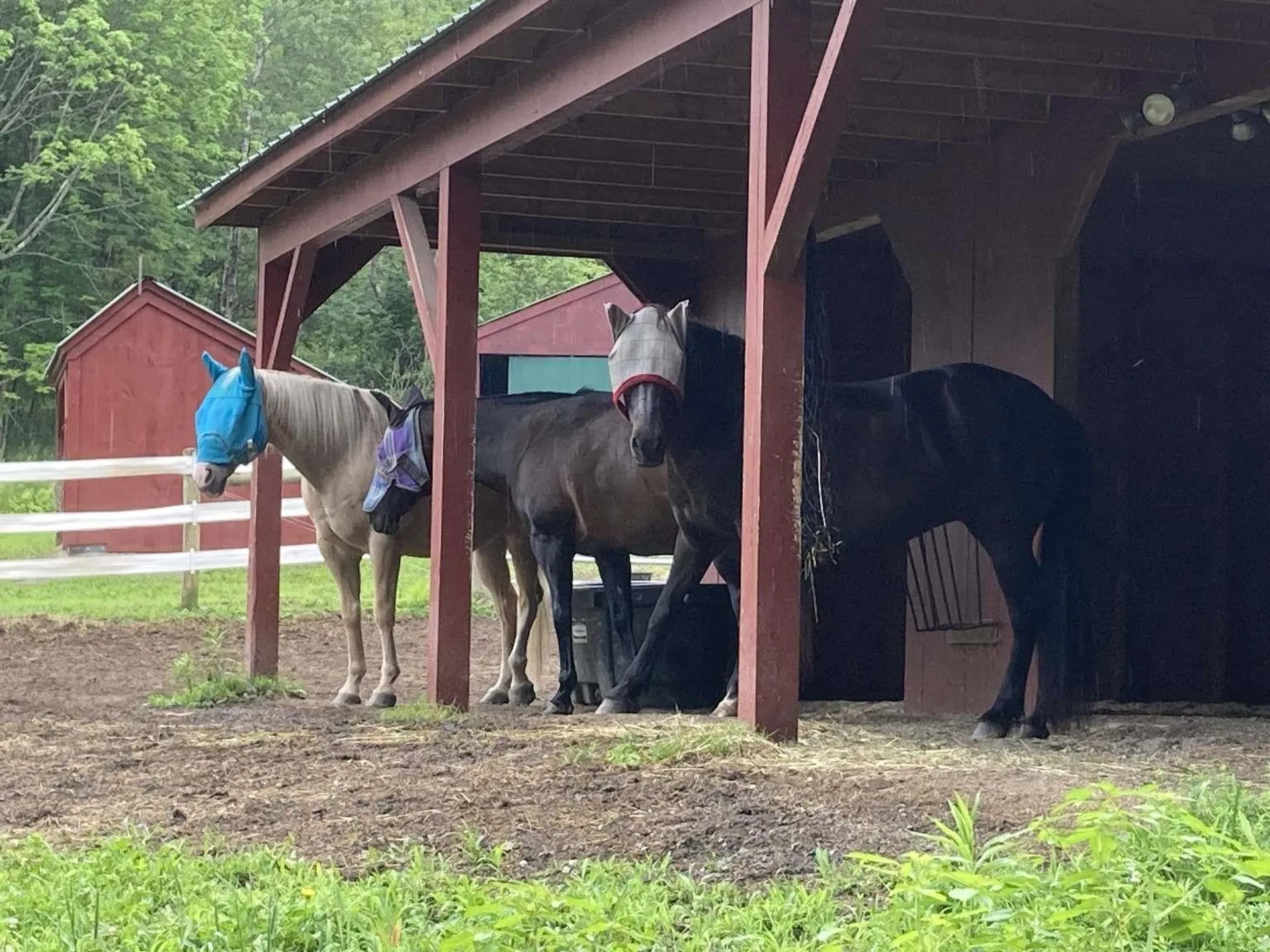 65 Widow Moses Road Berlin VT 05602