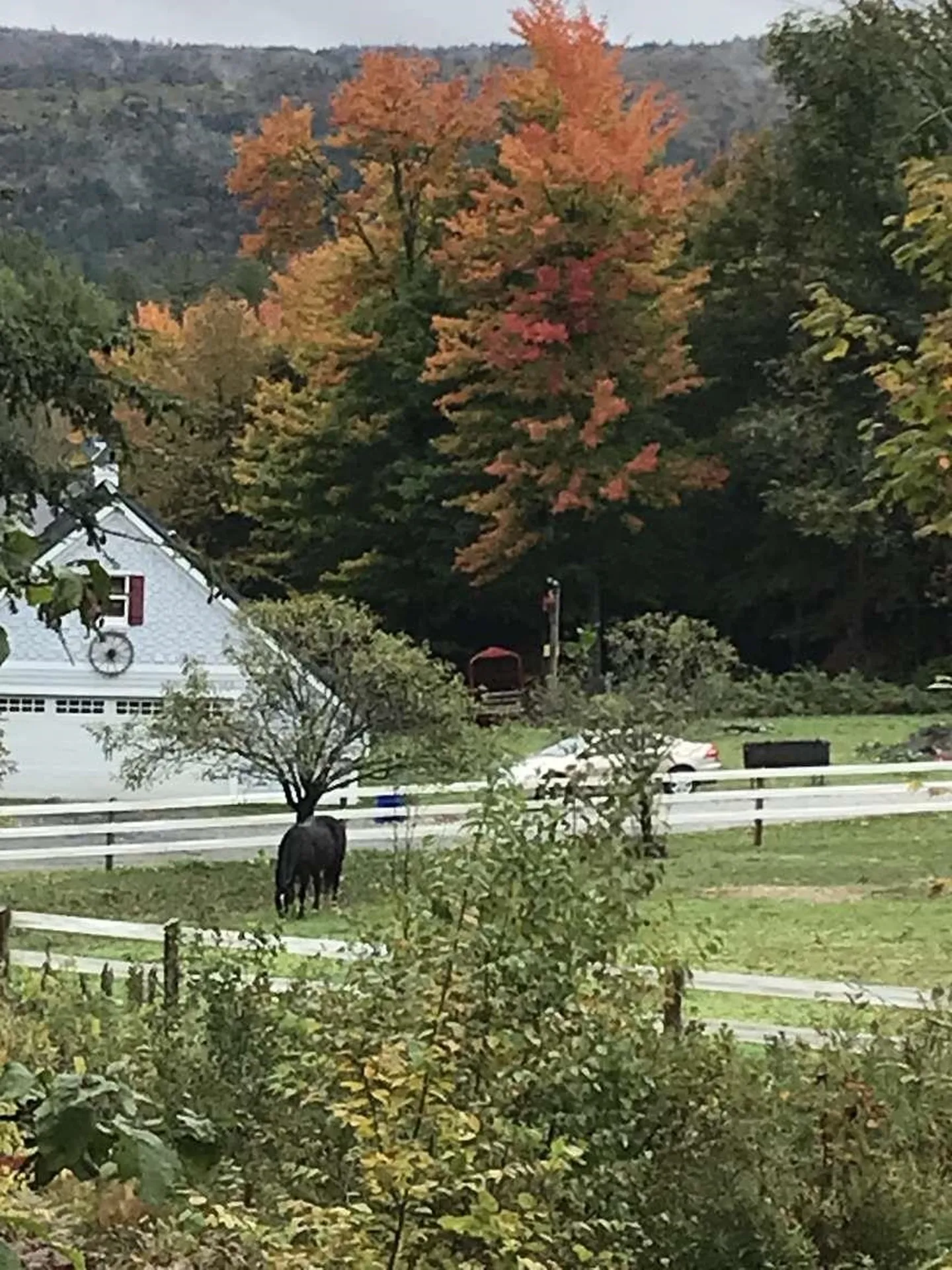 65 Widow Moses Road Berlin VT 05602